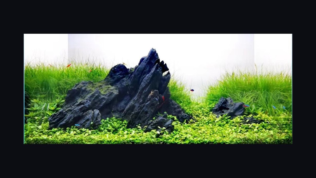 Top 10 aquarium rock types 2027