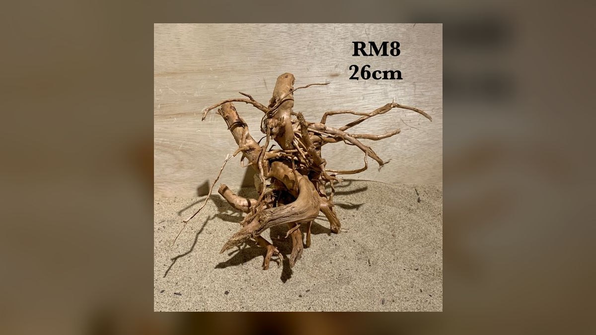 Top 10 driftwood for aquariums 2027 — figure 7