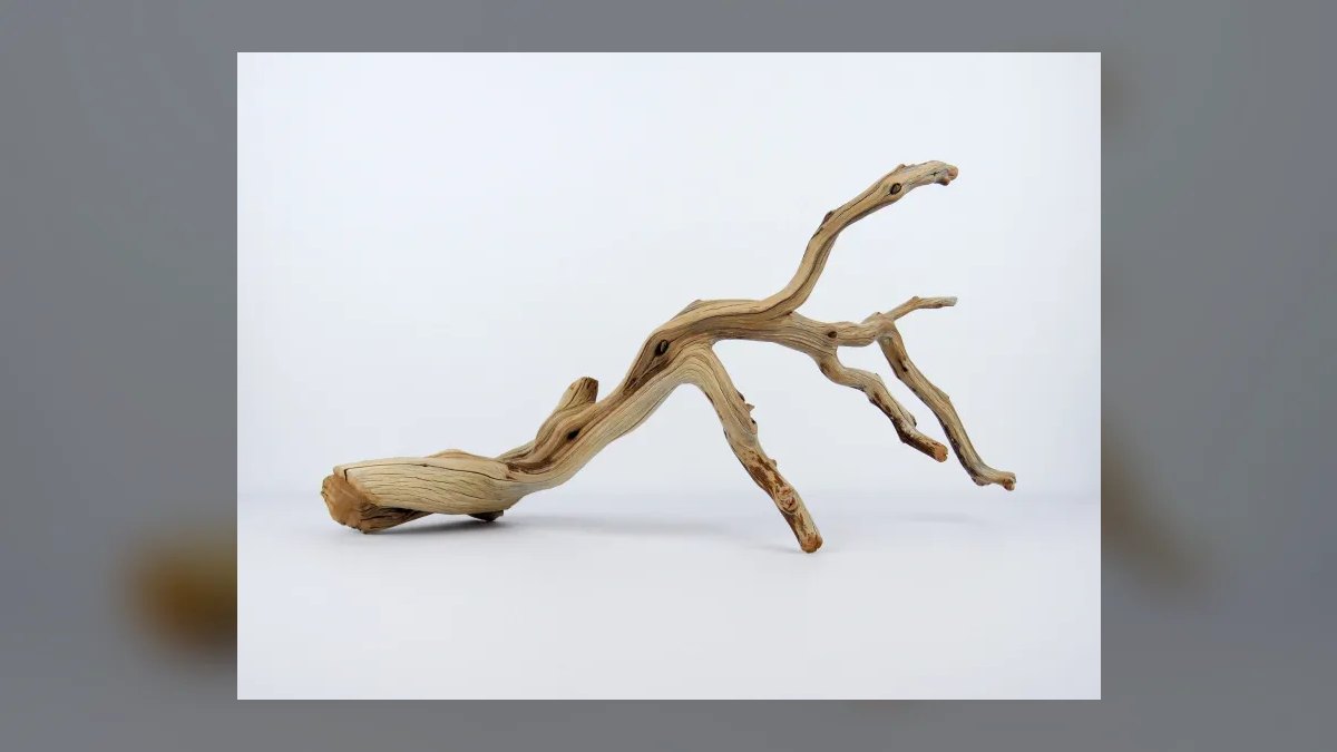 Top 10 driftwood for aquariums 2027