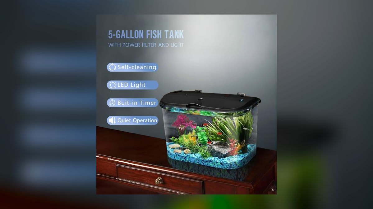Top 10 best betta tank setups 2027 — figure 10
