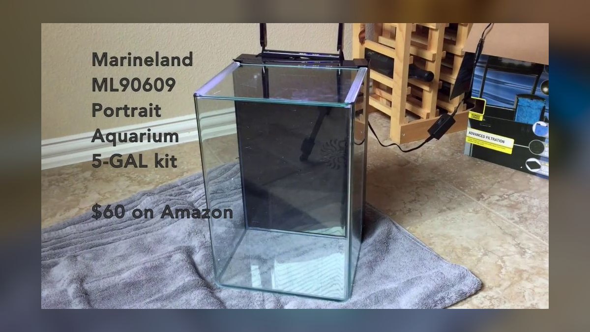 Top 10 best betta tank setups 2027 — figure 2