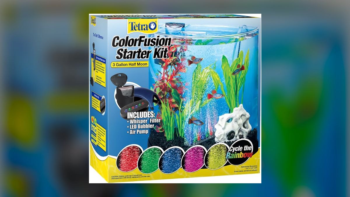Top 10 best betta tank setups 2027 — figure 7