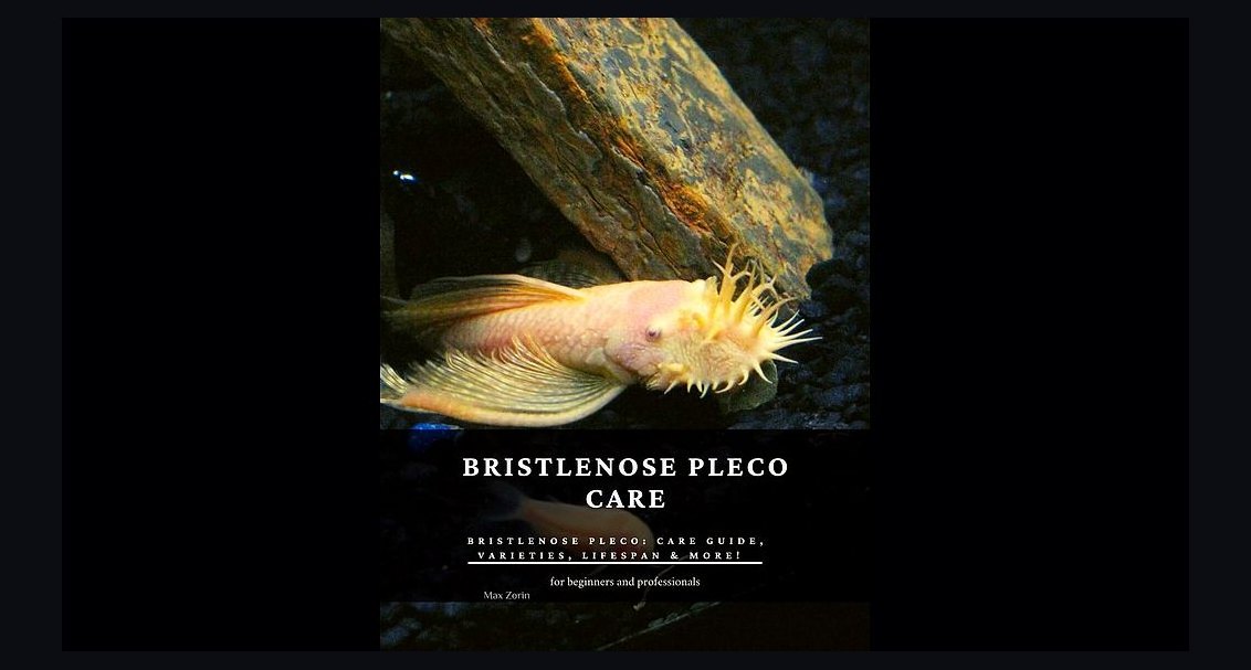 Top 10 pleco varieties 2027