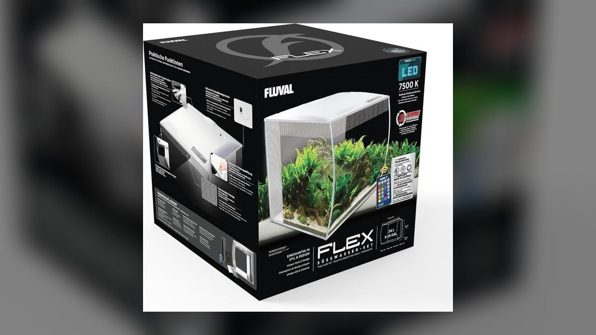 Top 10 danio tank requirements 2027