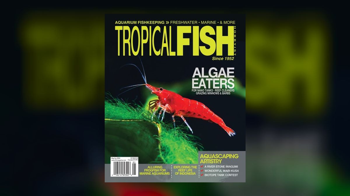 Top 10 best aquarium magazines 2027