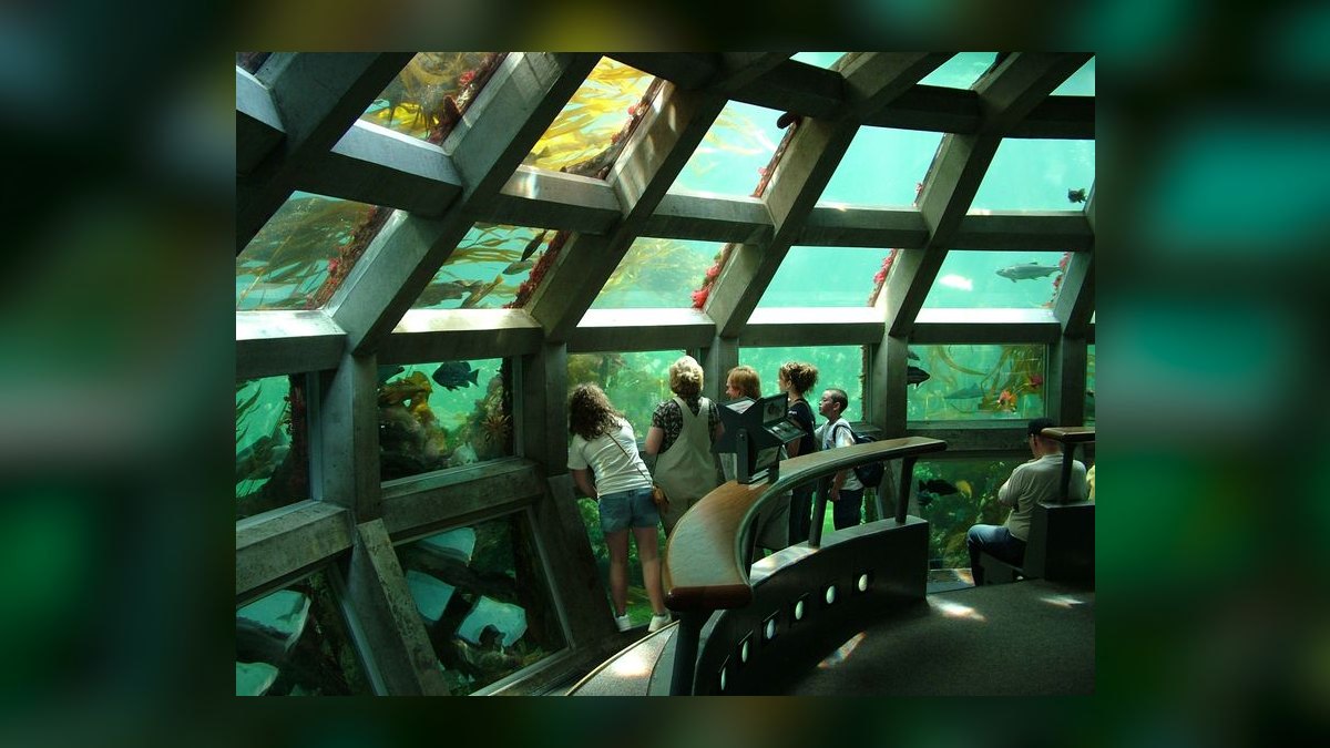 Top 10 fish club locations 2027