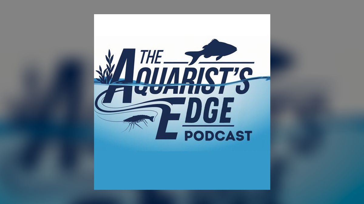 Top 10 aquarium podcasts 2027 — figure 8