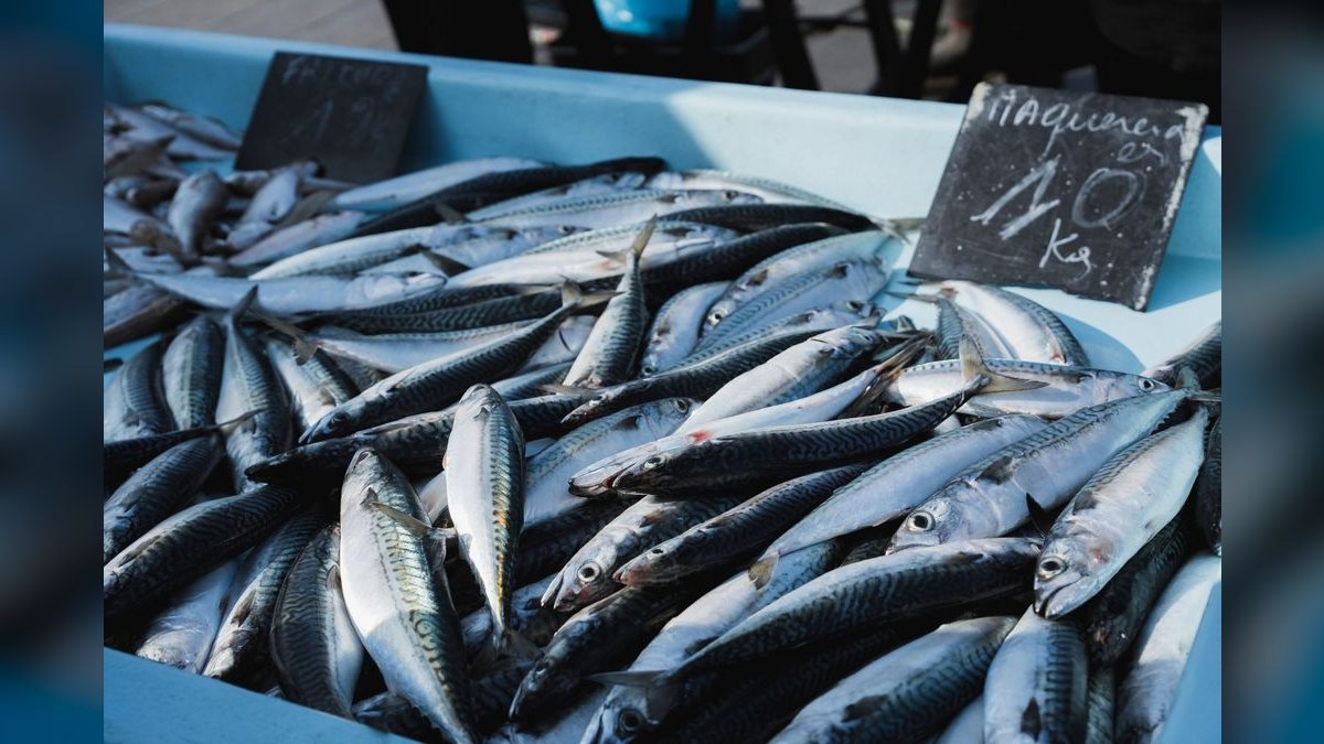 Top 10 science-backed fish sites 2027 — figure 3