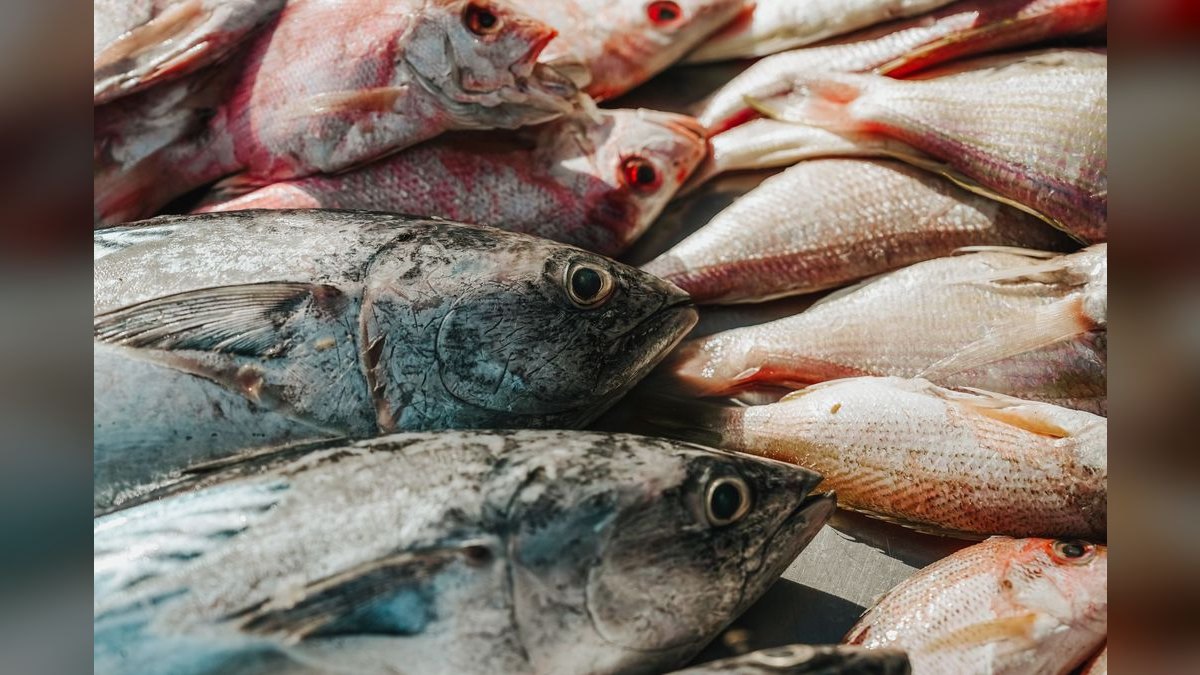 Top 10 science-backed fish sites 2027 — figure 5