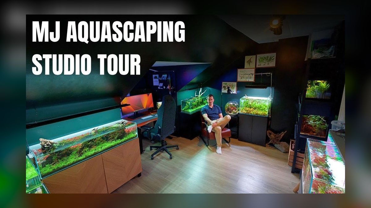 Top 10 aquarium YouTube channels 2027 — figure 7