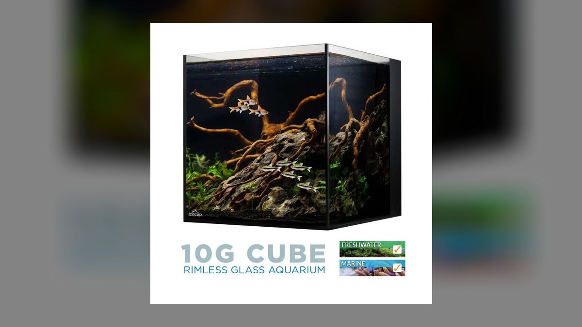Top 10 custom tank manufacturers 2027 — figure 9