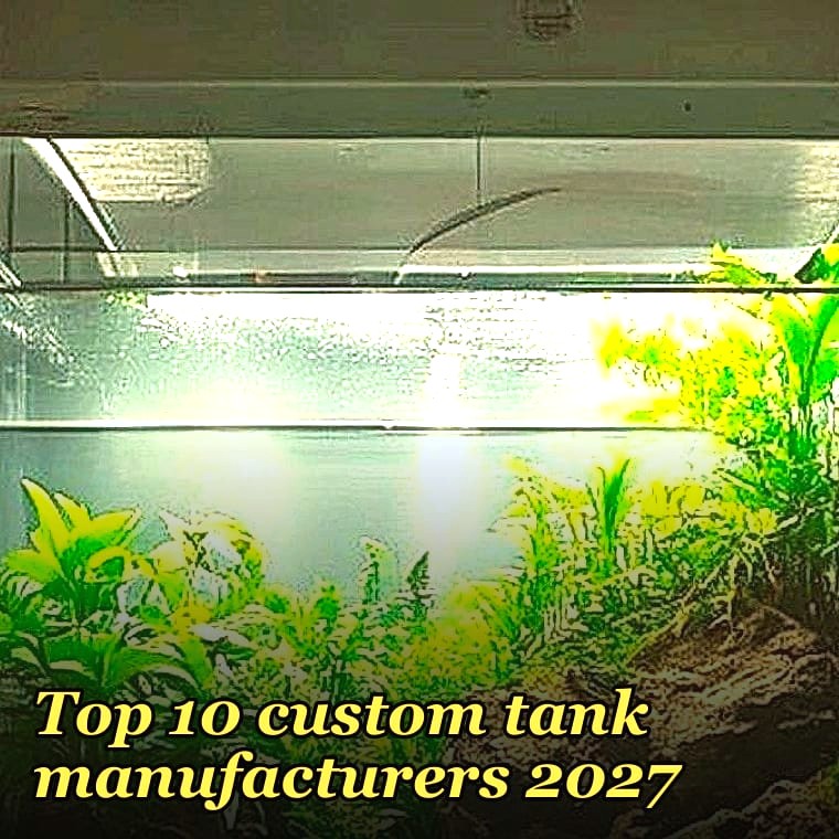 Top 10 custom tank manufacturers 2027
