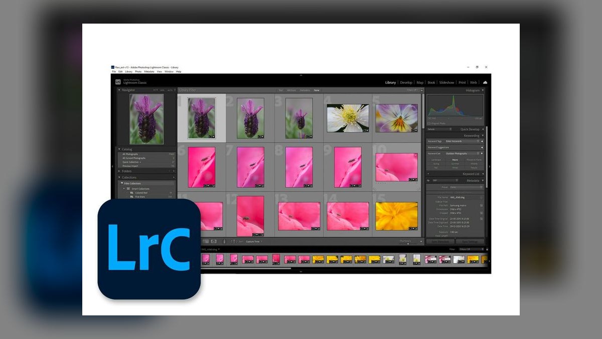 Top 10 aquarium photography tips 2027 — figure 10