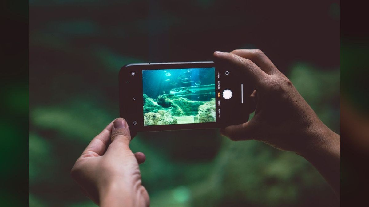 Top 10 aquarium photography tips 2027