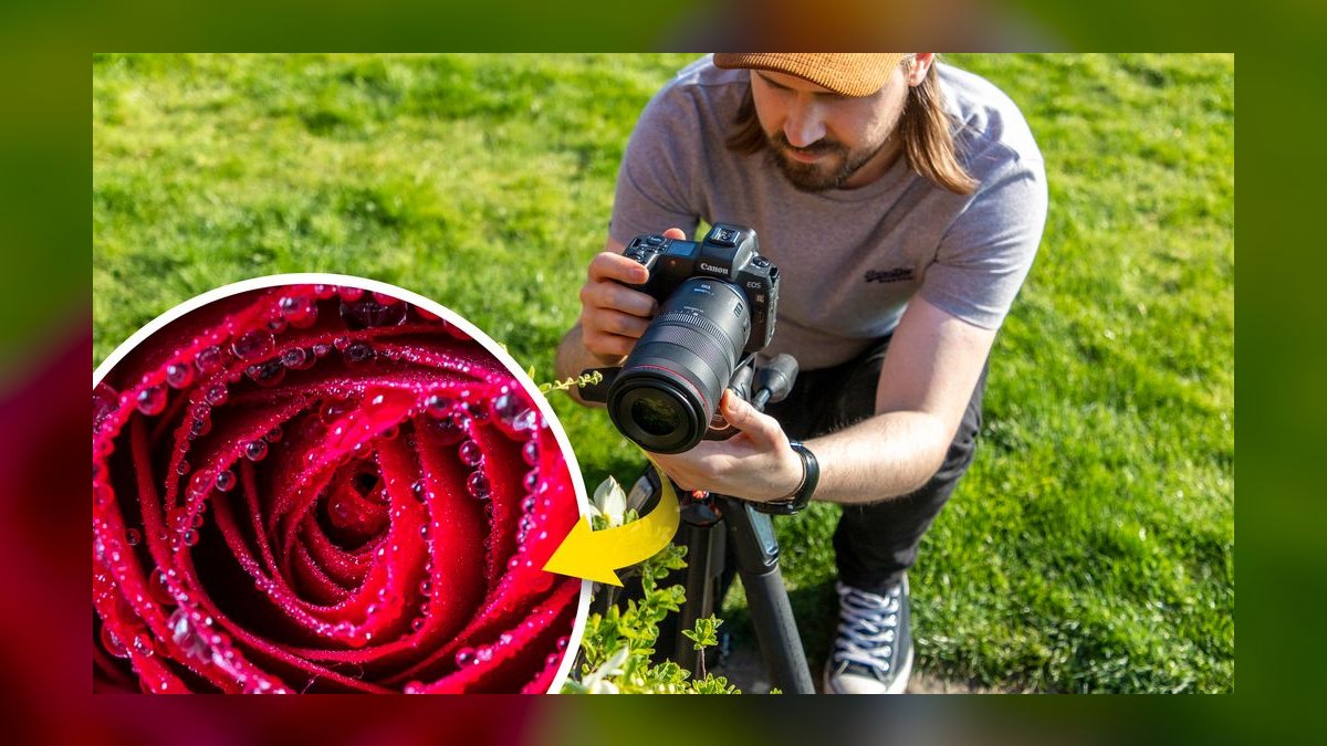 Top 10 aquarium photography tips 2027