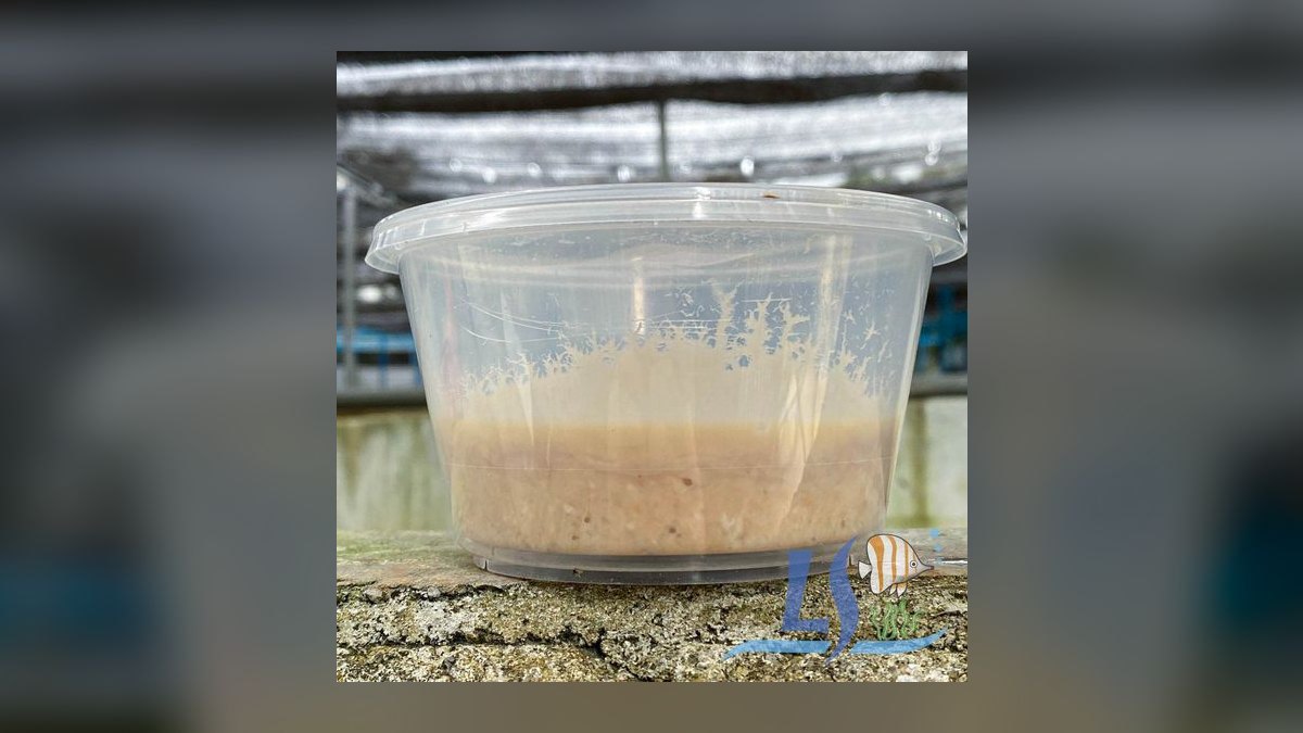 Top 10 fish breeding hacks 2027 — figure 8