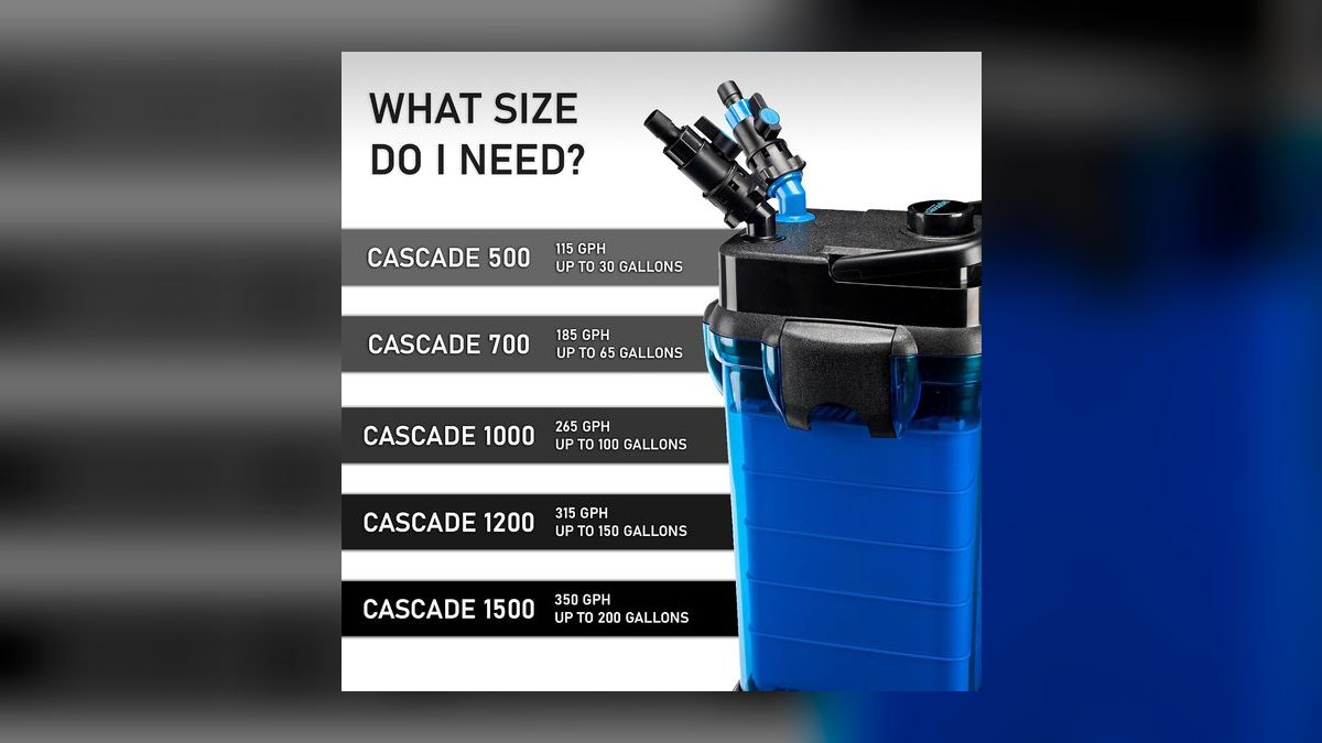 Top 10 quarantine tank setups 2027 — figure 2