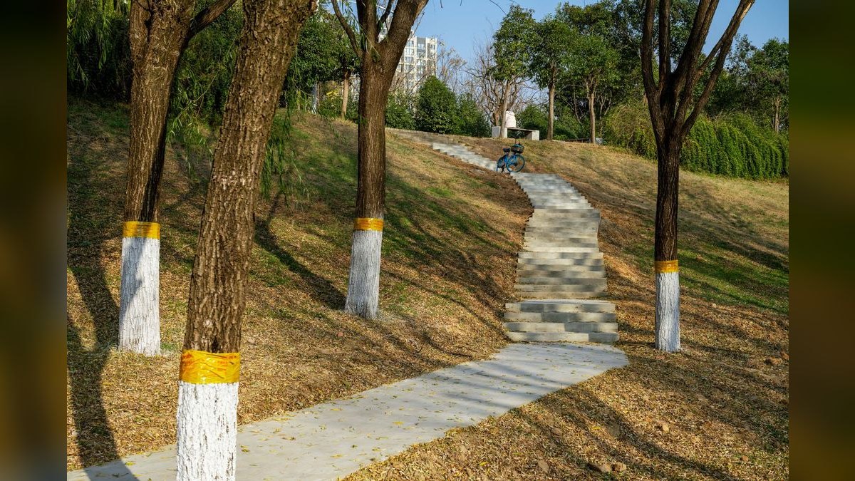 Top 10 nitrogen cycle steps 2027