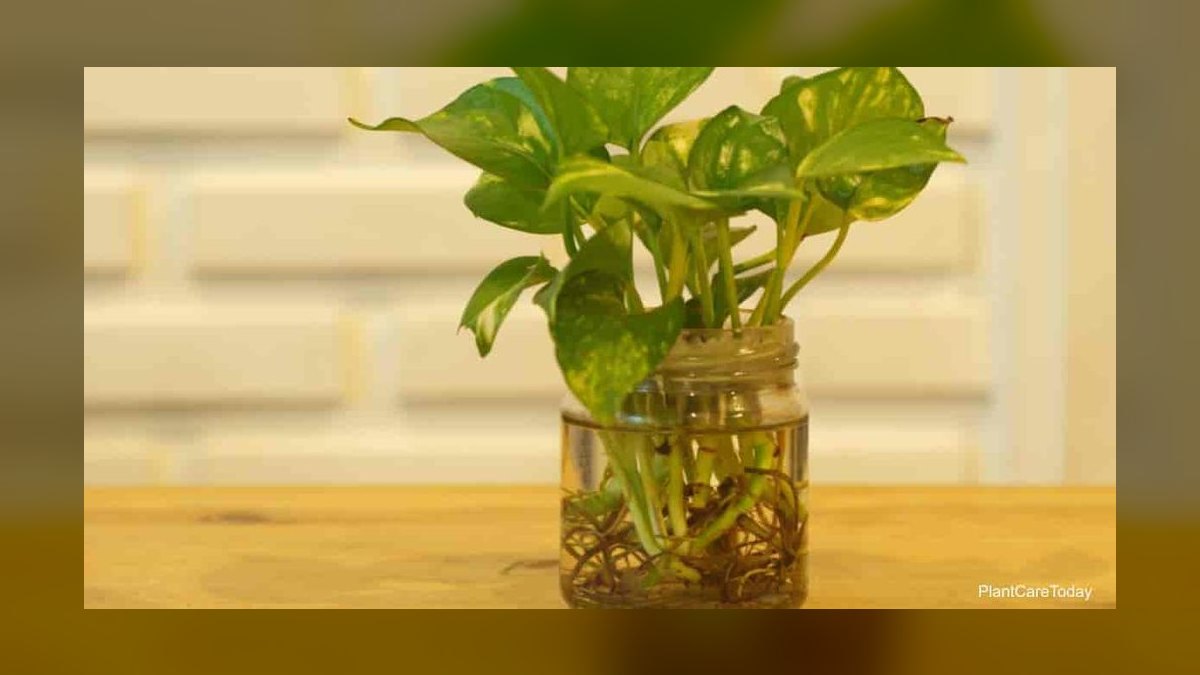 Top 10 nitrate control methods 2027 — figure 8