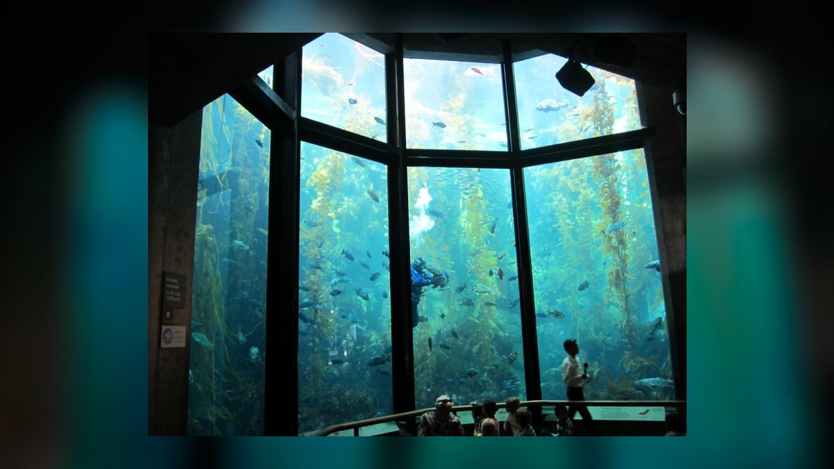Top 10 aquarium insurance benefits 2027 — figure 4