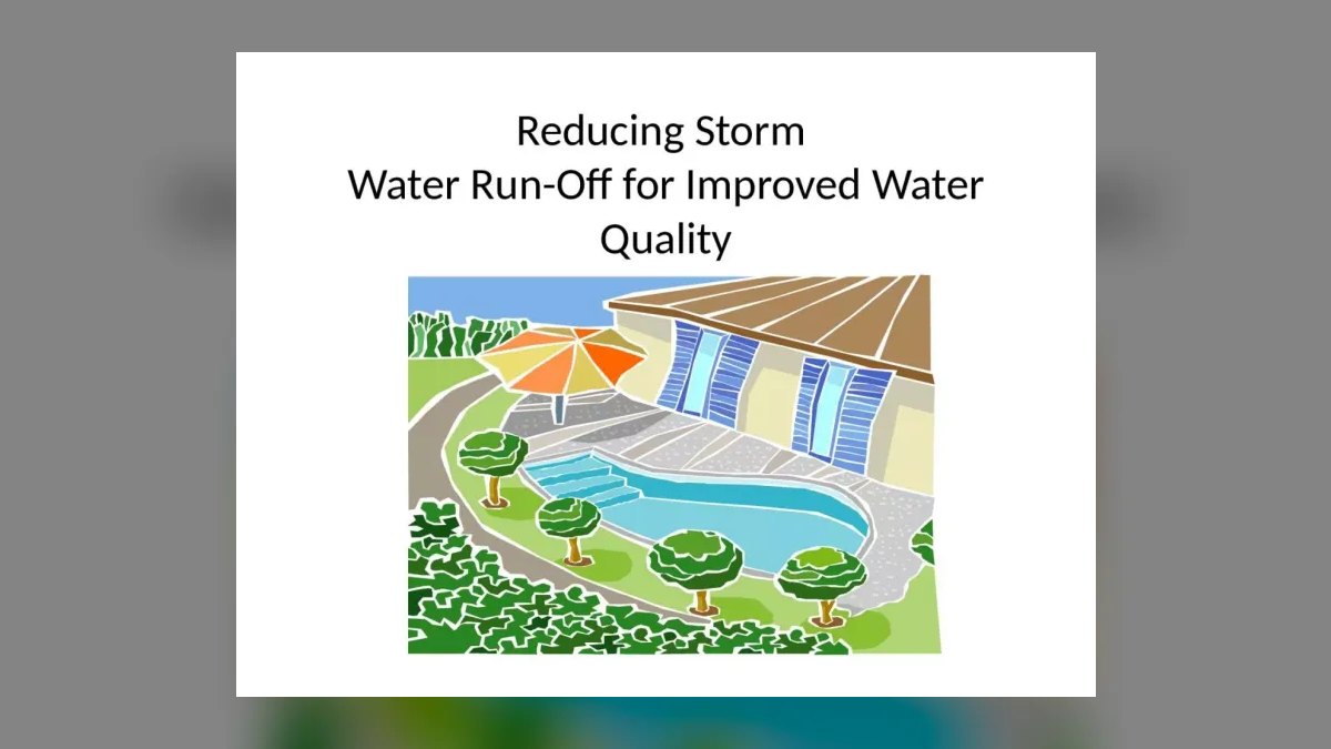 Top 10 fish rescue strategies 2027 — figure 9