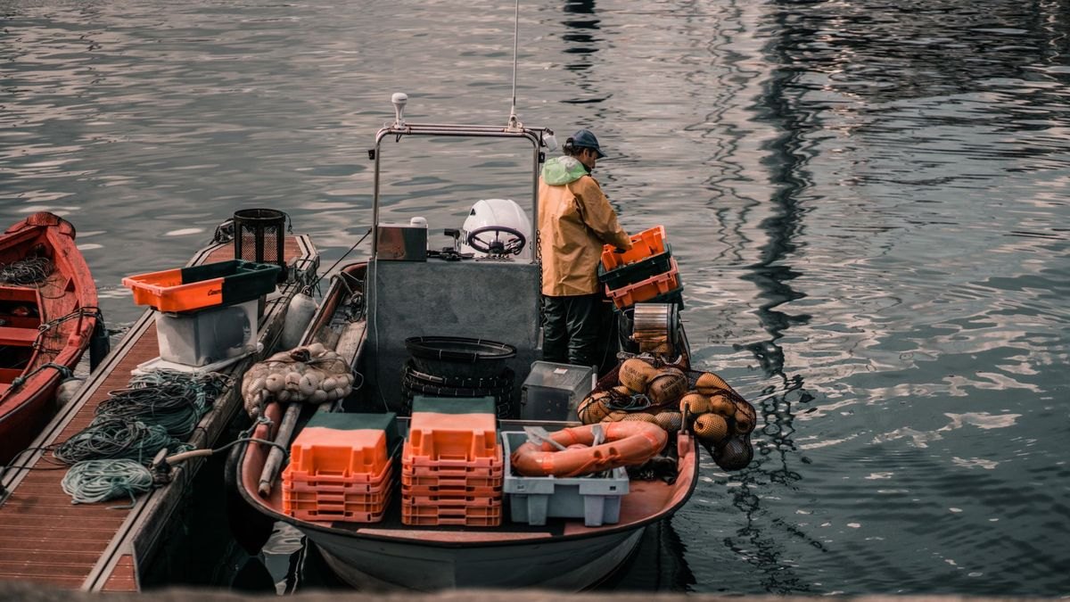 Top 10 fish rescue strategies 2027