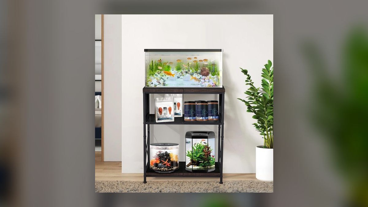 Top 10 DIY tank stand plans 2027 — figure 9