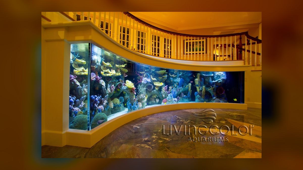 Top 10 aquarium design services 2027 — figure 10