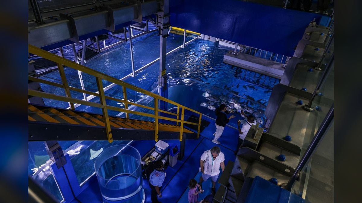 Top 10 aquarium design services 2027 — figure 4