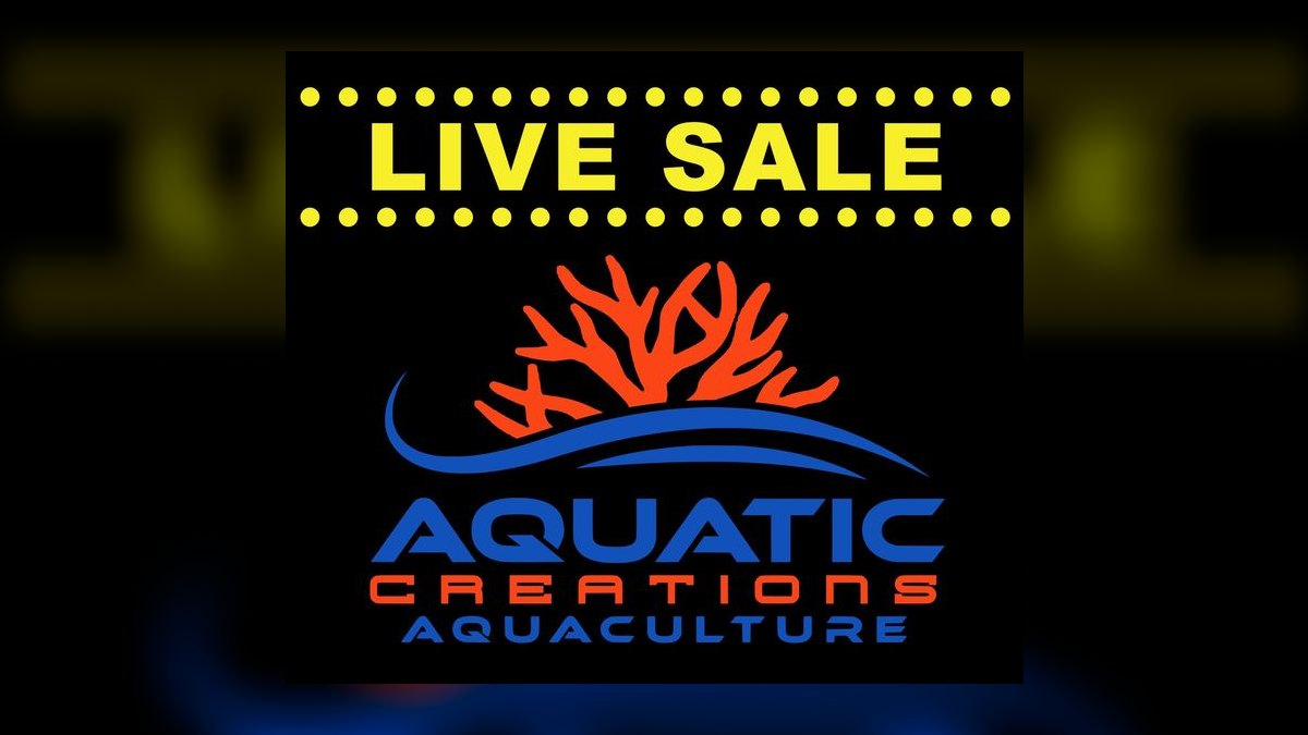 Top 10 aquarium design services 2027 — figure 8