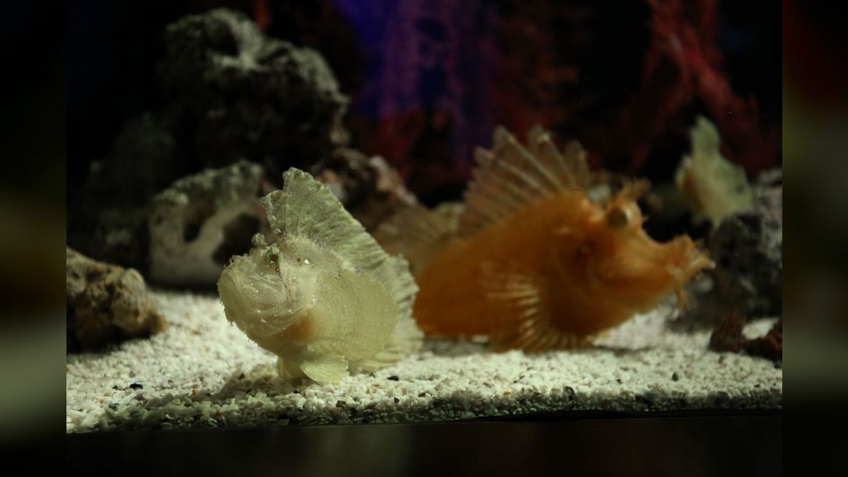 Top 10 aquascaping competition tips 2027 — figure 5