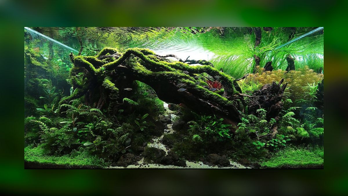 Top 10 nature aquarium styles 2027 — figure 7