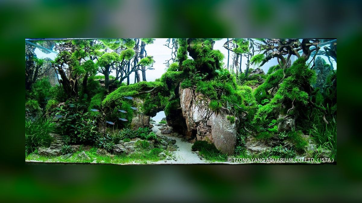 Top 10 nature aquarium styles 2027 — figure 8