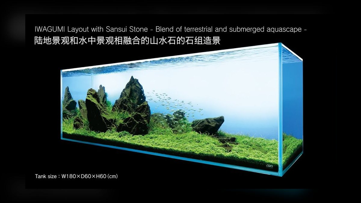 Top 10 nature aquarium styles 2027