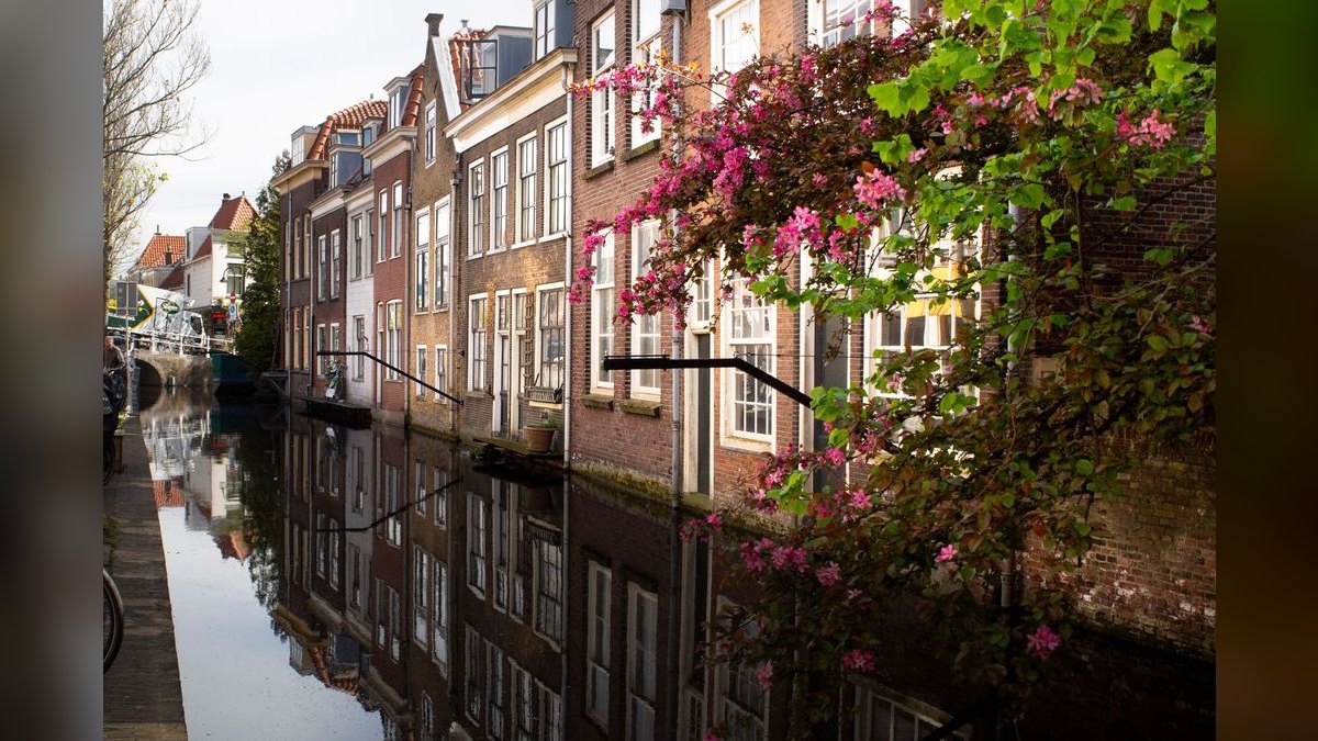Top 10 Dutch style plant groupings 2027 — figure 5