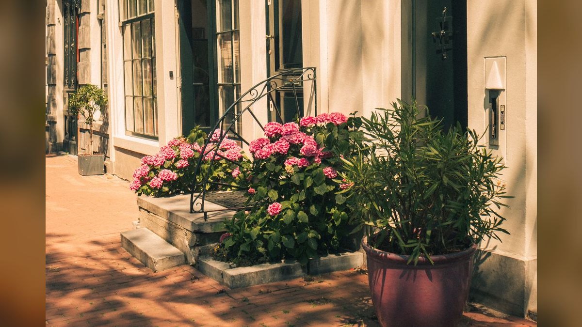 Top 10 Dutch style plant groupings 2027 — figure 6