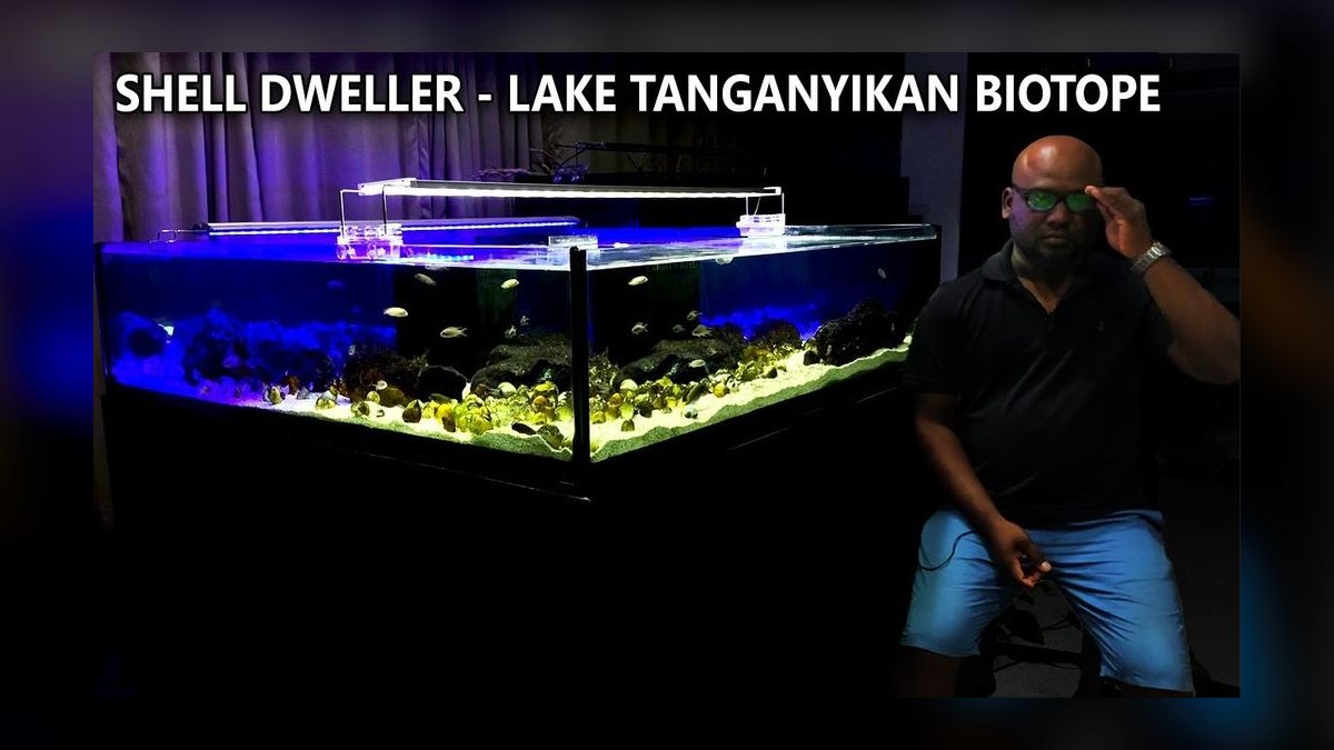 Top 10 biotope tank ideas 2027 — figure 8
