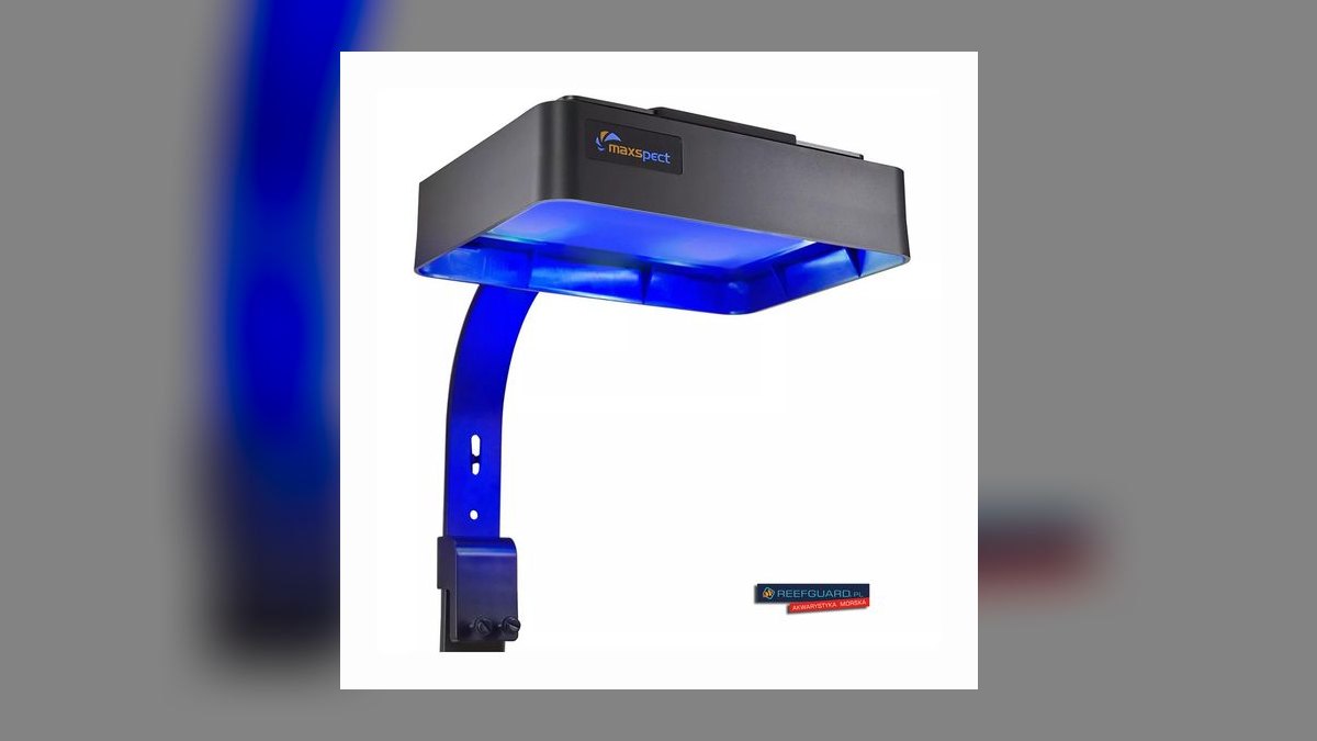 Top 10 saltwater reef lighting 2027 — figure 7