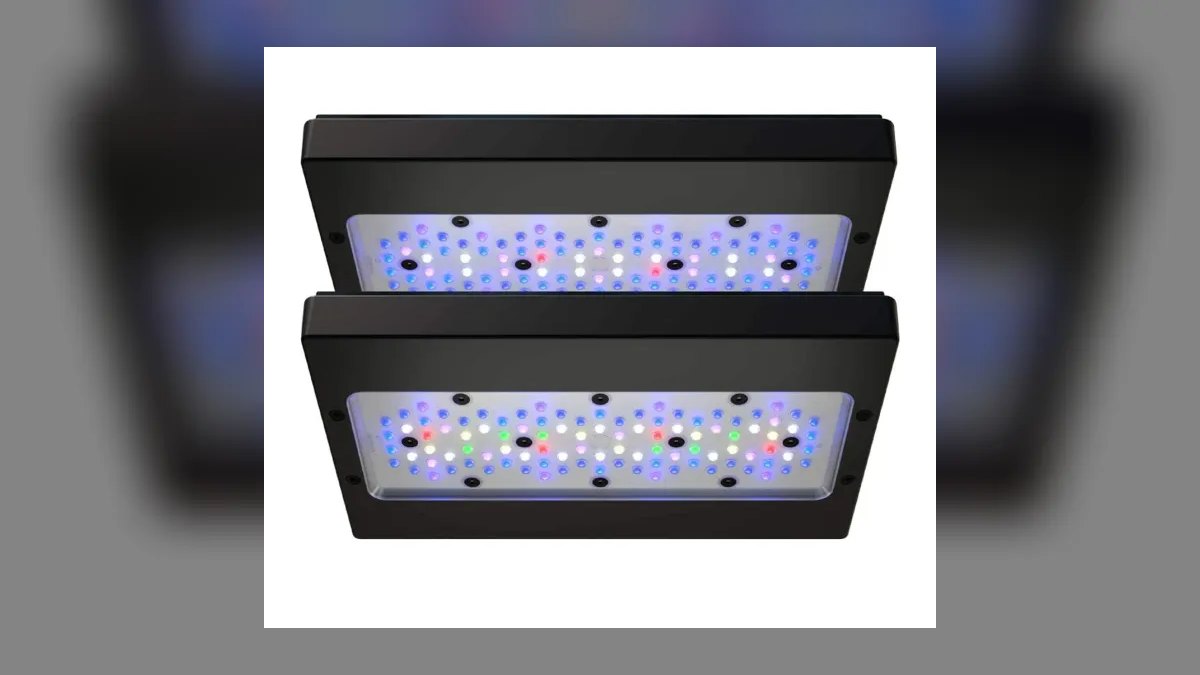 Top 10 saltwater reef lighting 2027
