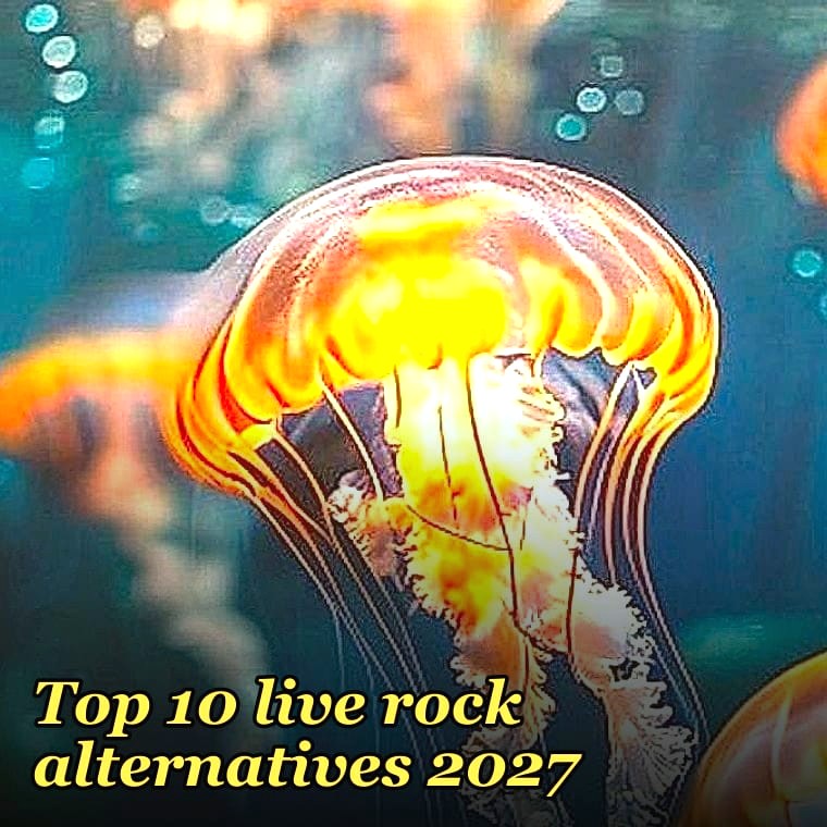 Top 10 live rock alternatives 2027