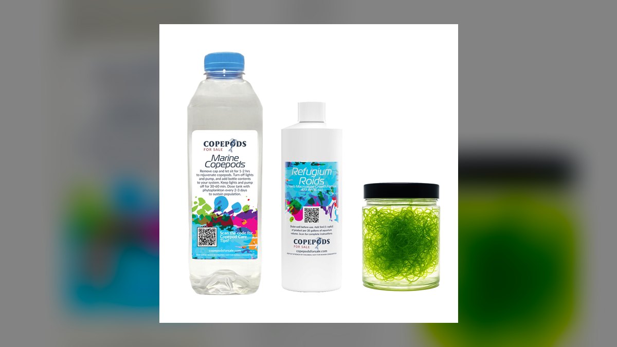 Top 10 refugium setup tips 2027 — figure 9