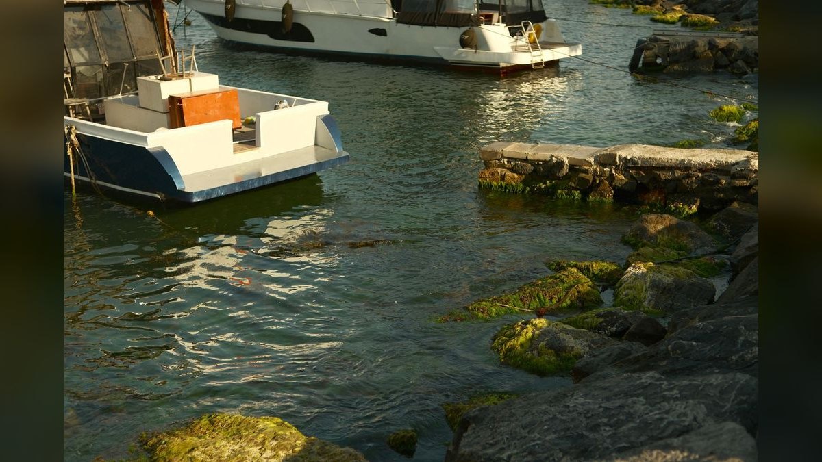 Top 10 marine algae control 2027 — figure 4