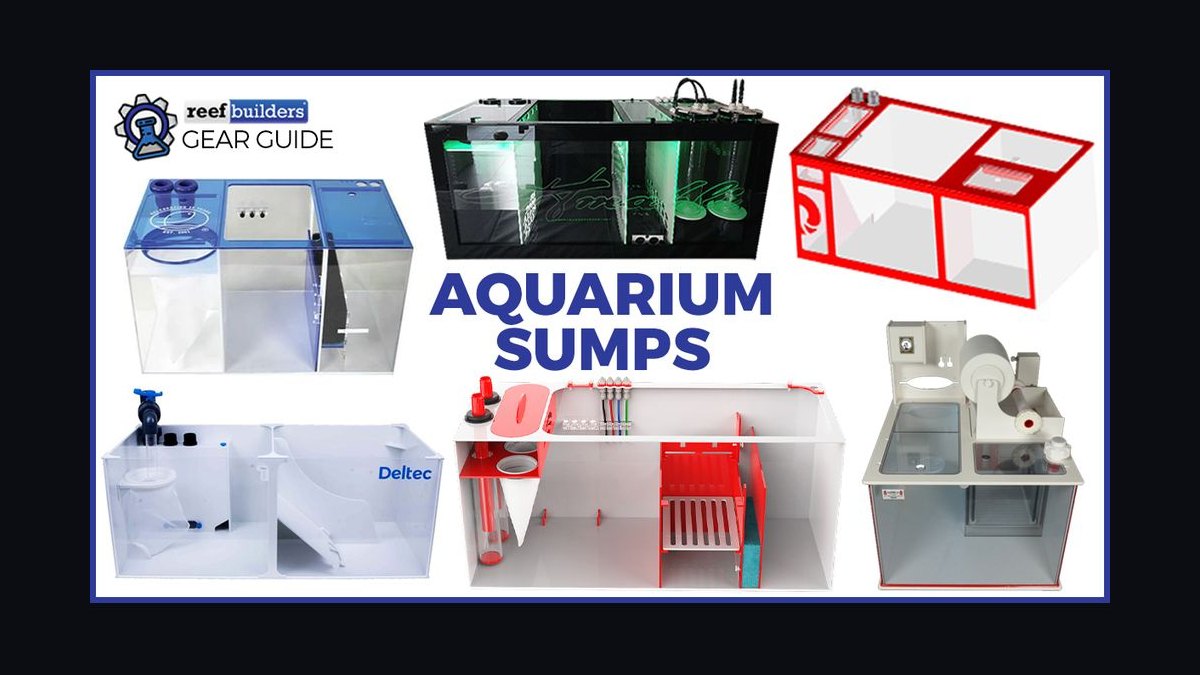 Top 10 aquarium heater placement 2027 — figure 7