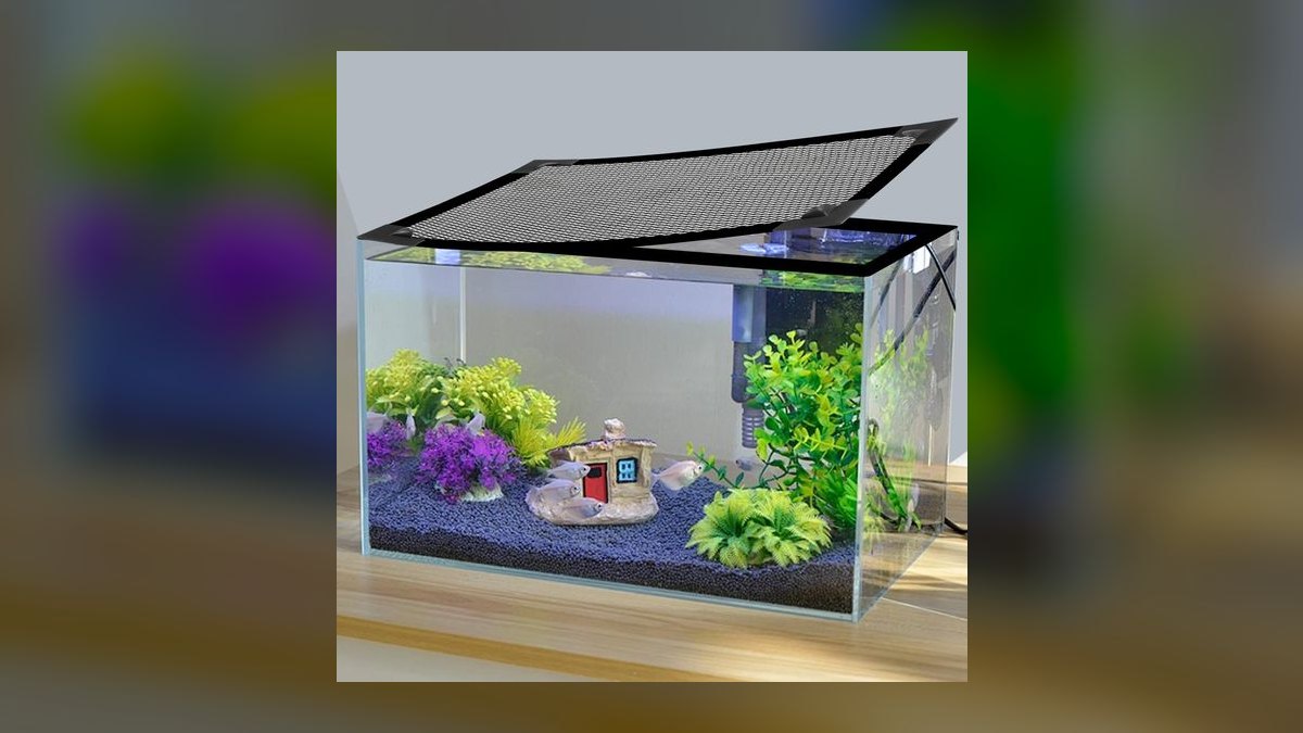Top 10 fish tank cover types 2027 — figure 10