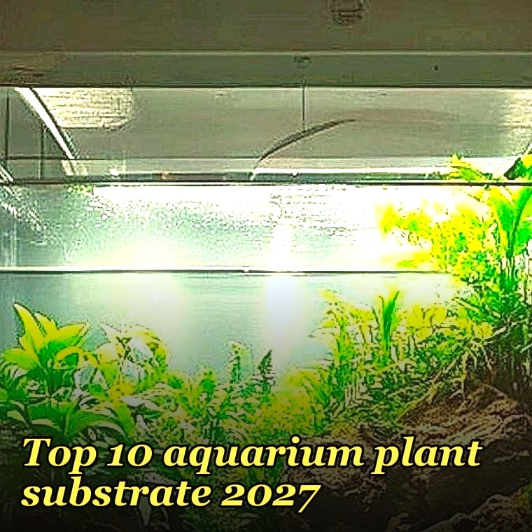 Top 10 aquarium plant substrate 2027