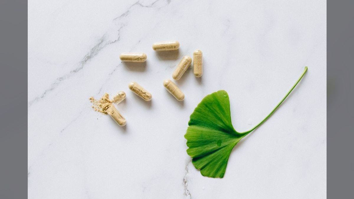 Top 10 iron supplements for plants 2027