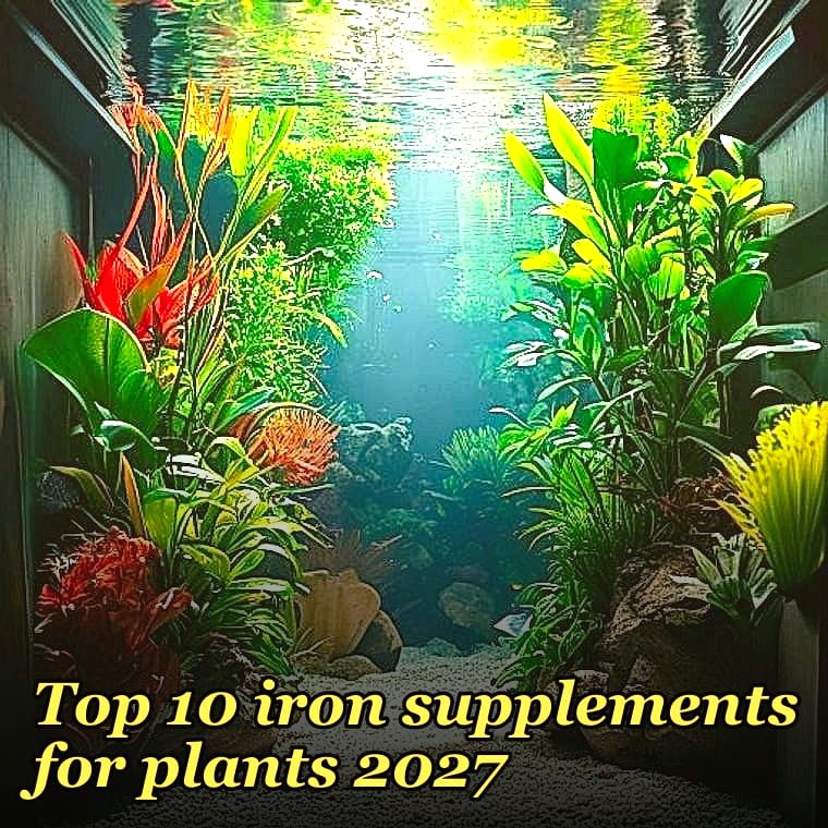 Top 10 iron supplements for plants 2027
