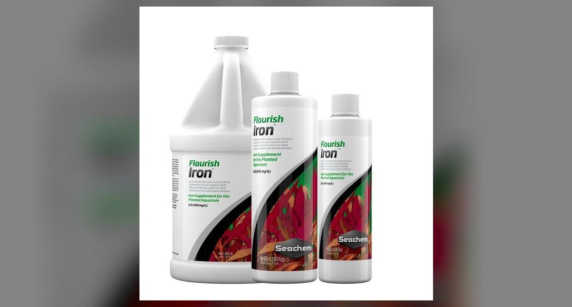 Top 10 iron supplements for plants 2027