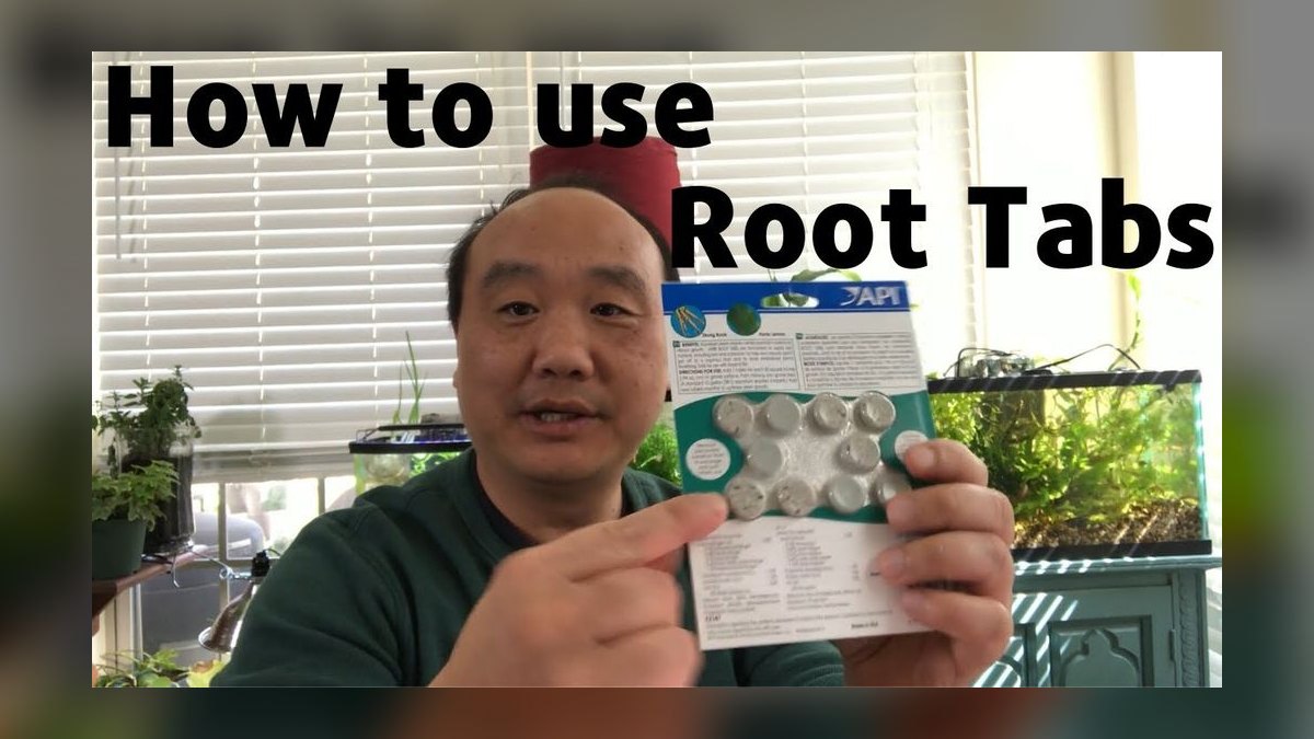 Top 10 root tab brands 2027 — figure 10