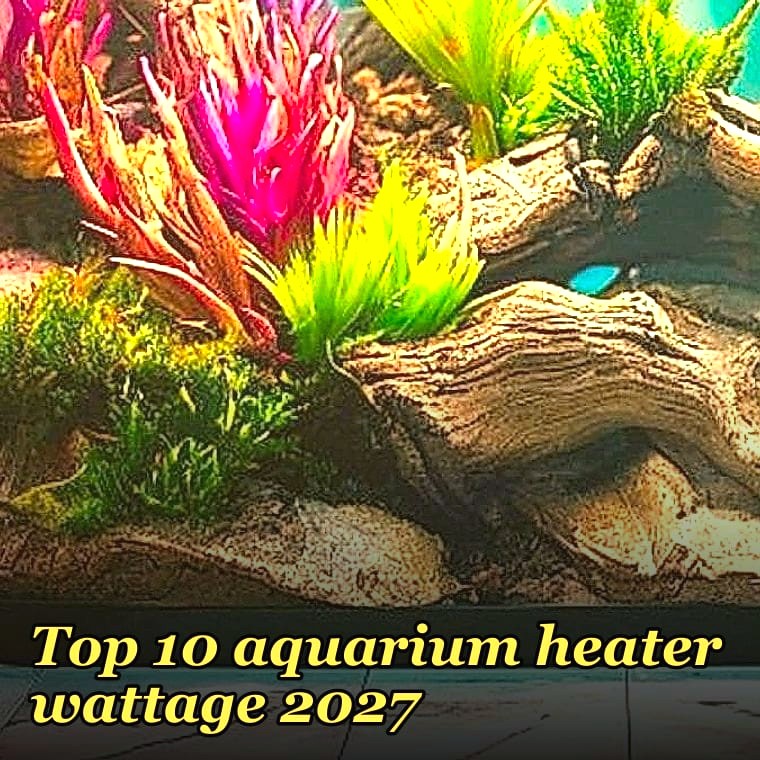 Top 10 aquarium heater wattage 2027